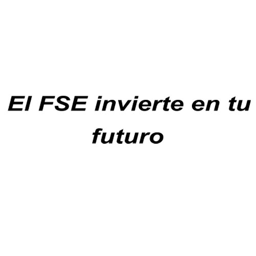 ESF Invest in your Future