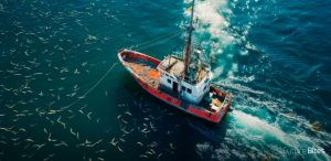 Predicción de la temperatura subsuperficial para una pesca sostenible e inteligente